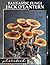 Fantastic Fungi Jack O'Lant...