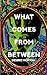 What Comes From Between