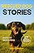Rescued Dog Stories: 27 Hea...