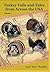 Turkey Tails and Tales from Across the USA - Volume 5 by Tom Doc Weddle