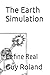 The Earth Simulation: Define Real