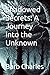 Shadowed Secrets: A Journey into the Unknown