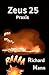 Zeus 25 - Praxis by Richard Mann Zeus 25 - Praxis by Richard Mann