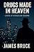Drugs Made in Heaven by James Bruce