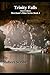 Trinity Falls: Merchant Min...