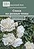 Стихи на разные темы: Рождённый в СССР (Russian Edition)