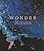 Wonder by Alicia Hamilton Wonder by Alicia Hamilton