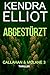 Abgestürzt (Callahan & McLane Series 3) (German Edition)