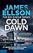 Cold Dawn (The DCI Castle series, 2)
