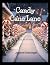 Candy Cane Lane: Color a story