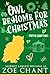 Owl Be Home for Christmas by Zoe Chant