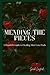 Mending The Peices by Sarah Langford