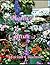 Algebra 2, Vol 2