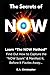 The Secrets of NOW: Learn The NOW Method - Find Out How to Take the Spark of Life, of an Idea, and Capture It Before It Fizzles Away...
