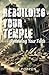 Rebuilding Your Temple by Tim Poppen