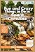 Fun Things to Do in South Carolina by Harry Gaither