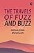 The Travels of Fuzz and Buzz