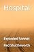 Hospital: Exploded Sonnet