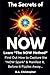The Secrets of NOW: Learn The NOW Method - Find Out How to Take the Spark of Life, of an Idea, and Capture It Before It Fizzles Away...