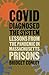 COVID Diagnosed the System: Lessons from the Pandemic in Massachusetts Prisons (Critical Issues in Crime and Society)