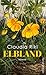Elbland: Roman | »Claudia Rikl schreibt mit großer Empathie und Leidenschaft über die Lebenslügen einer leidgeprüften Generation und das erdrückende ... Ungesagten.« Kristina Hauff (German Edition)