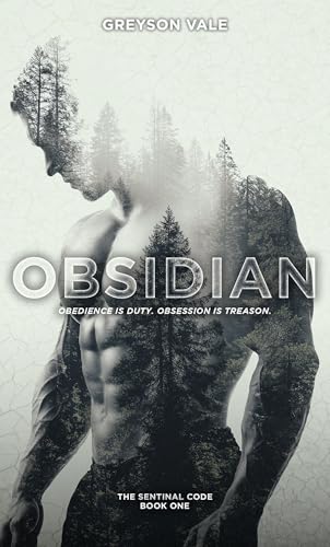 Obsidian (The Sentinel Code #1)