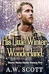 His Little Winter Wonderland: An M/M Christmas Romance (Secret Santa Daddy Season Five)
