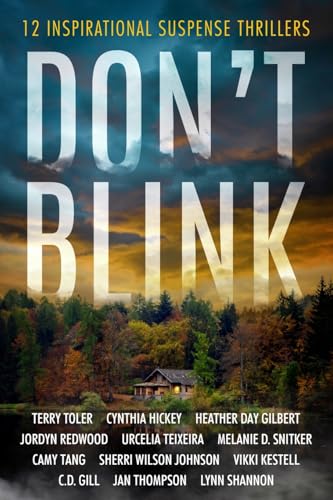 Don't Blink (Paperback)
