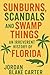 Sunburns, Scandals, and Swamp Things by Jordan Blake Carter