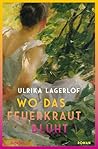 Wo das Feuerkraut...
