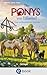 Die Ponys von Lillasund 4. Das Mittsommer-Turnier (German Edition)