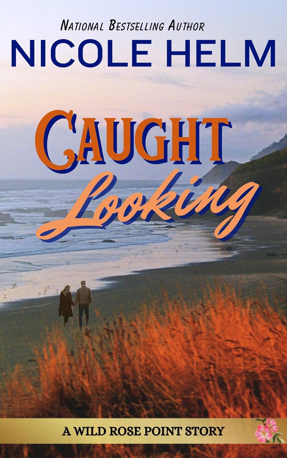 Caught Looking (Wild Rose Point #3)