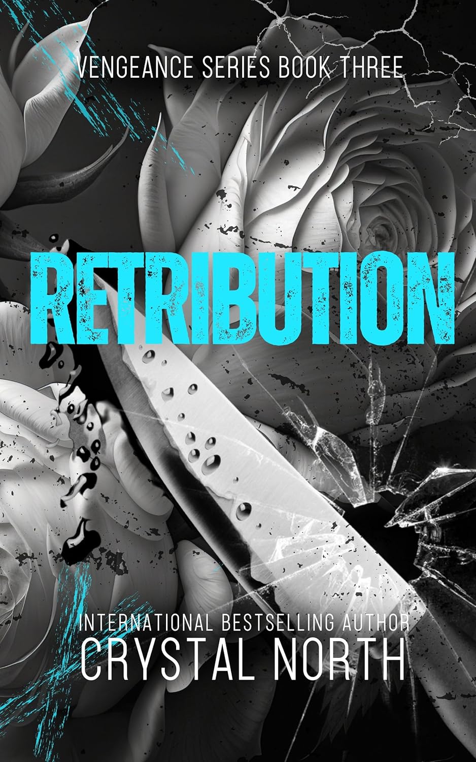 Retribution (Vengeance, #3)