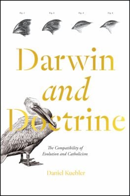 Darwin and Doctrine: The Compatibility of Evolution and Catholicism (Hardcover)
