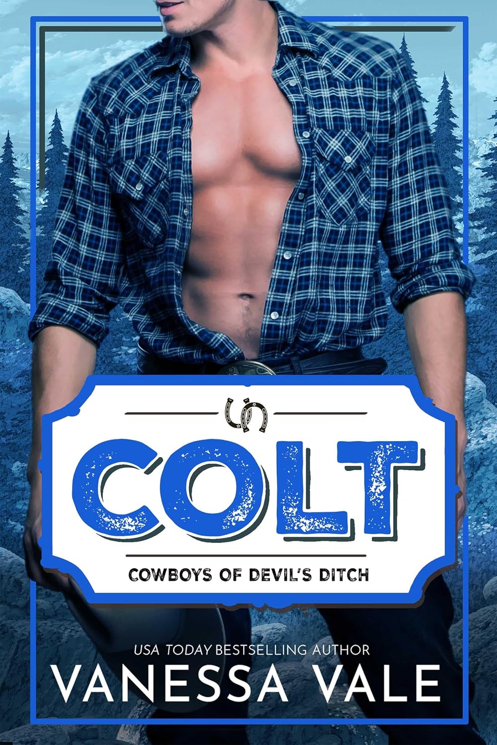 Colt (Cowboys of Devil's Ditch Book 2)