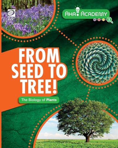 From Seed to Tree! The Biology of Plants (Paperback)