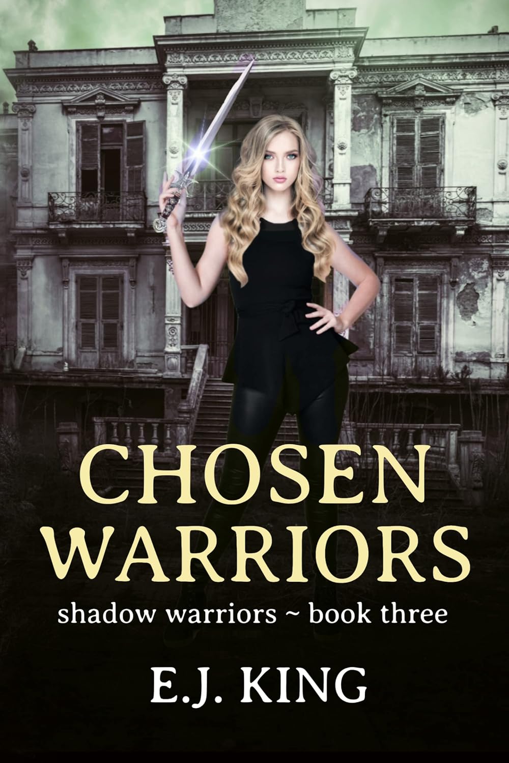 Chosen Warriors (Shadow Hunters #3)