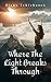 Where The Light Breaks Through by Riaan Schlebusch