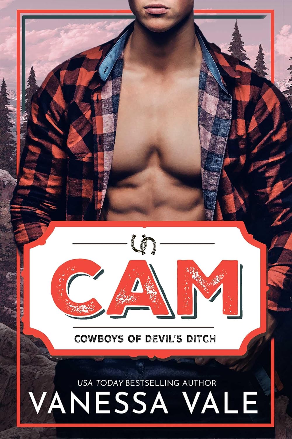 Cam (Cowboys of Devil's Ditch Book 5)