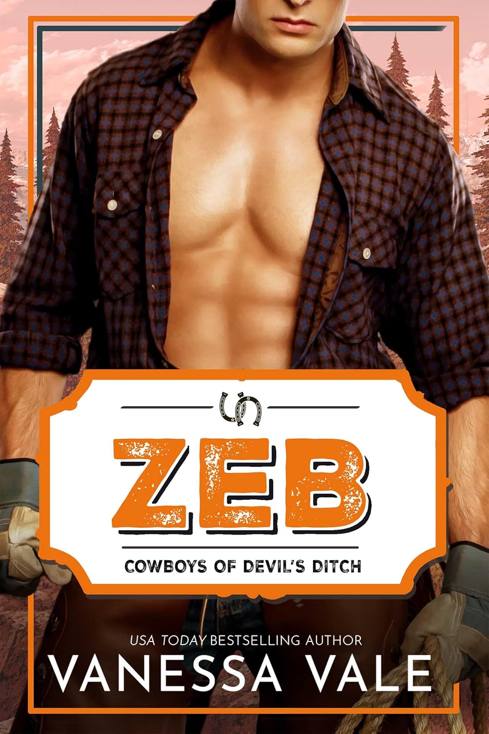 Zeb (Cowboys of Devil's Ditch Book 6)