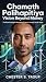 CHAMATH PALIHAPITIYA: Visio...