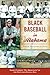 Black Baseball in Alabama: ...