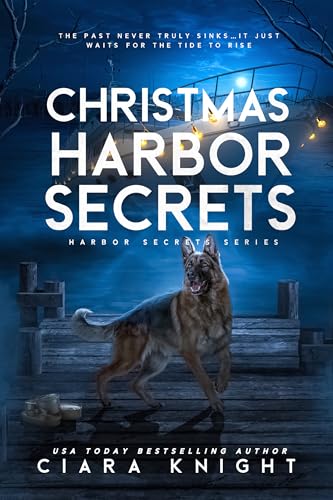 Christmas Harbor Secrets (Kindle Edition)