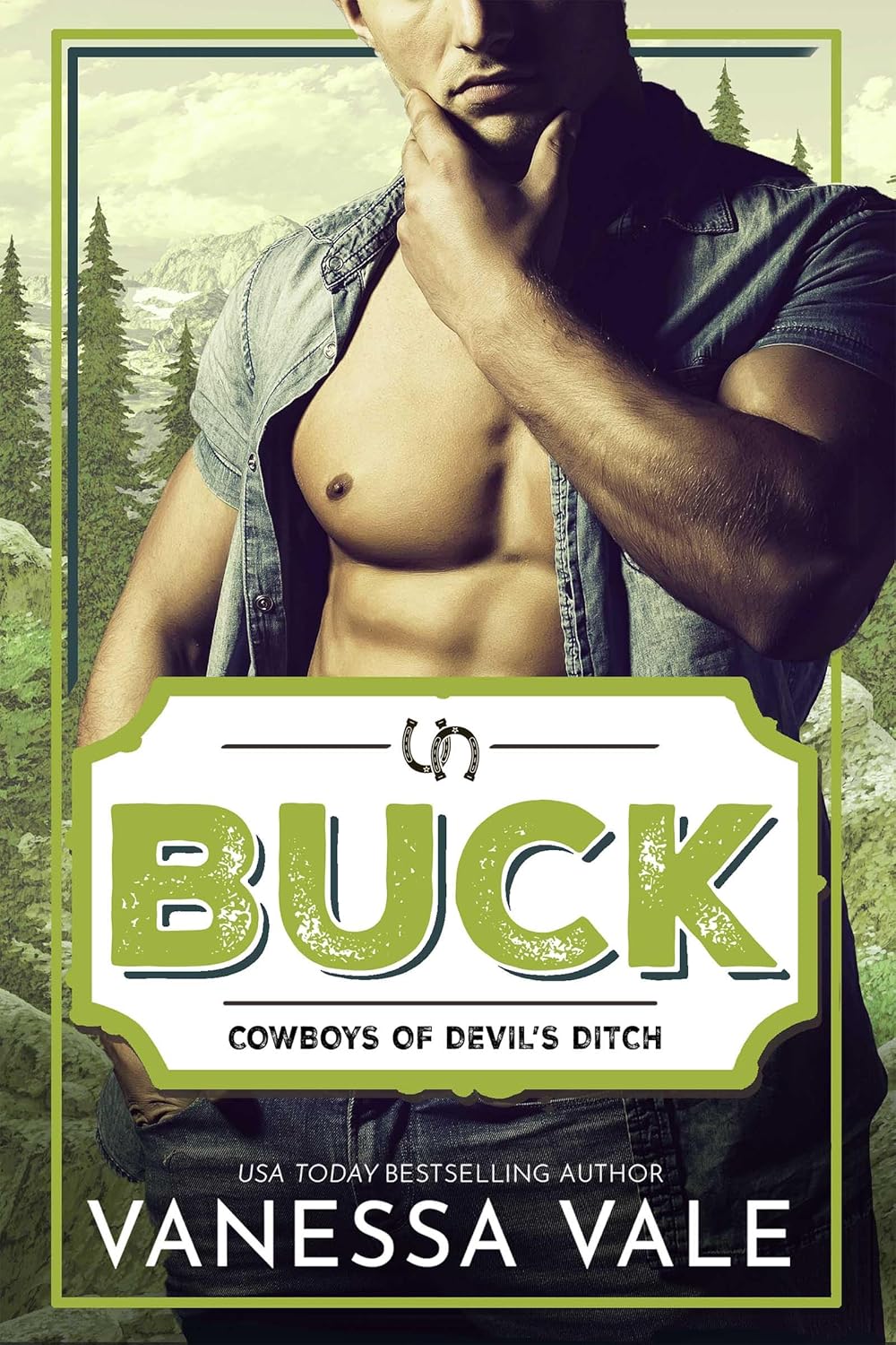 Buck (Cowboys of Devil's Ditch Book 8)