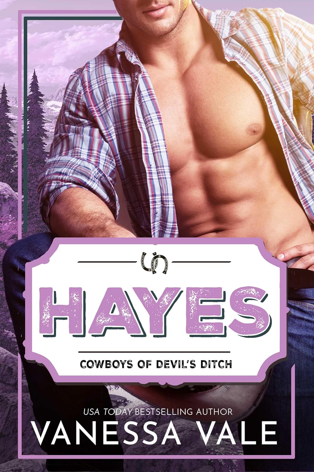 Hayes (Cowboys of Devil's Ditch Book 9)