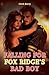 Falling for Fox Ridge's Bad Boy by Clark Barry
