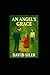 An Angel's Grace by David Siler