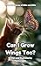 Can I Grow Wings Too? : The...
