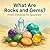 What Are Rocks and Gems? - From Pebbles to Sparkles by Margaret Bar