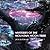 Mysteries of the Mountain Moon Tribe